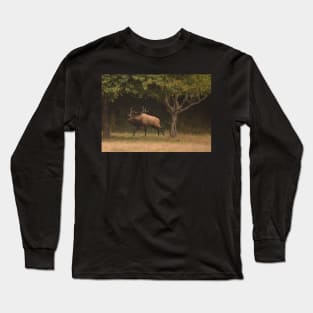 Bull Elk in the Orchard Long Sleeve T-Shirt